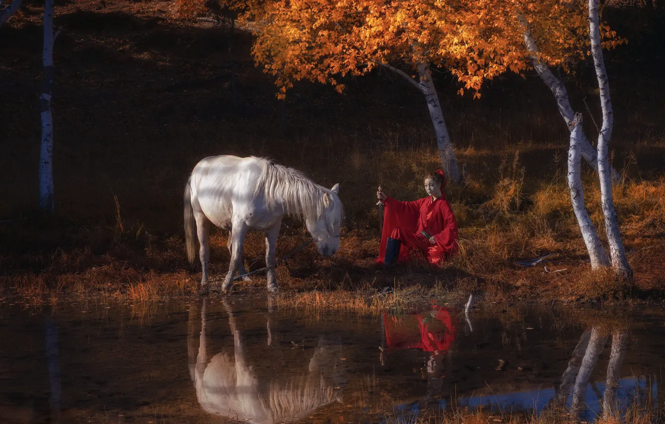 Фото обои осень, девушка, конь, меч