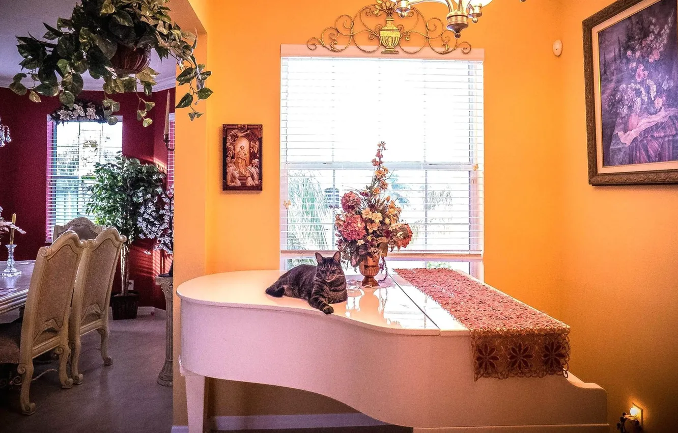 Фото обои дизайн, стиль, интерьер, рояль, столовая