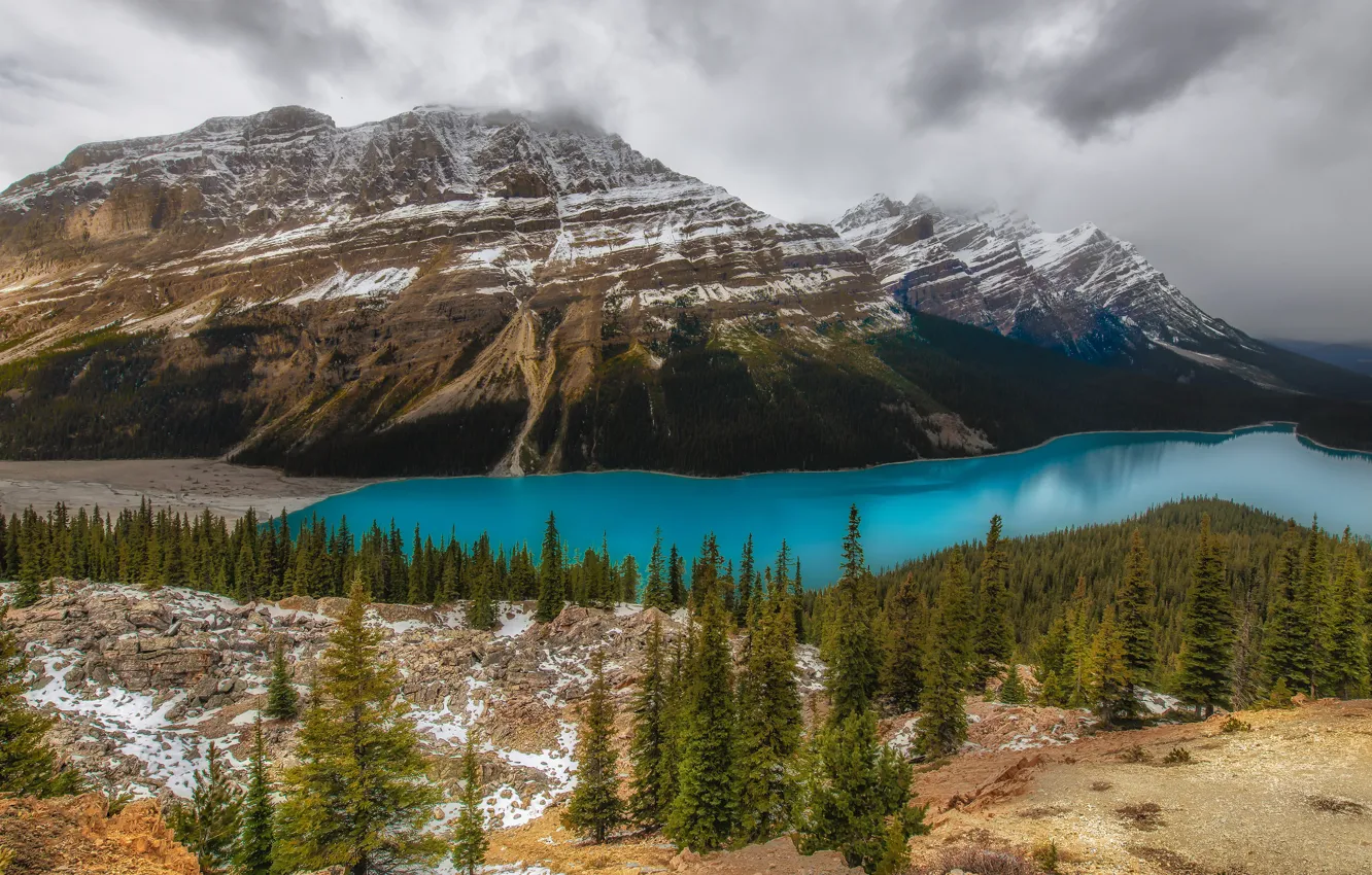 Фото обои лес, горы, озеро, берег, Канада, Альберта