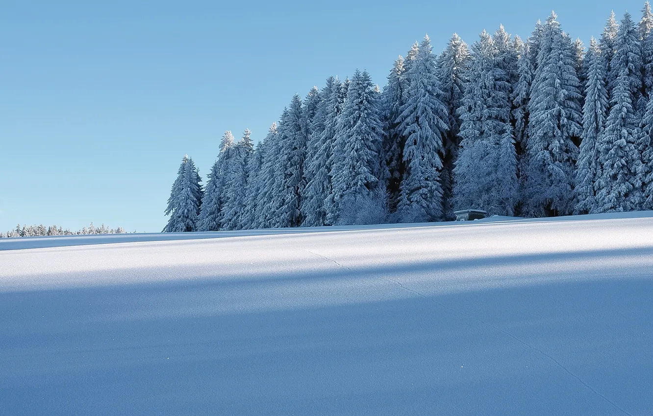Фото обои зима, иней, лес, снег, домик