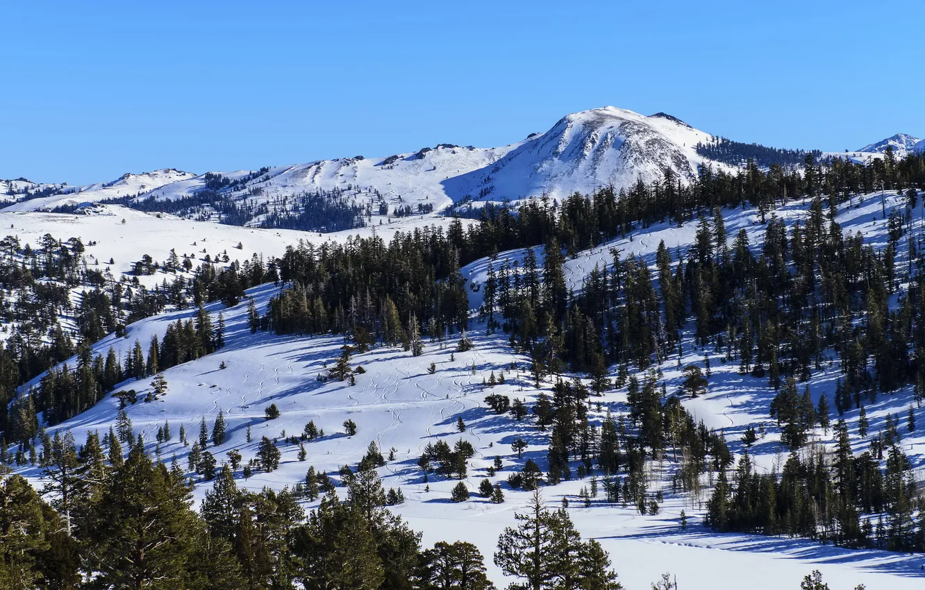 Фото обои снег, деревья, пейзаж, горы, следы, природа, Nevada