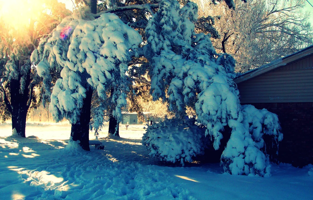 Фото обои зима, лучи, снег, деревья, пейзаж, природа, дом, двор
