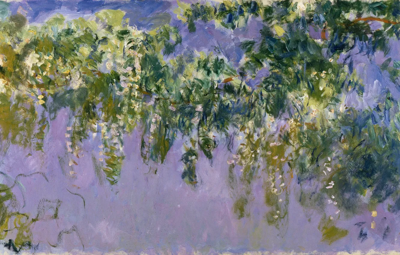 Фото обои Claude Monet, Wisteria, 1917-1920