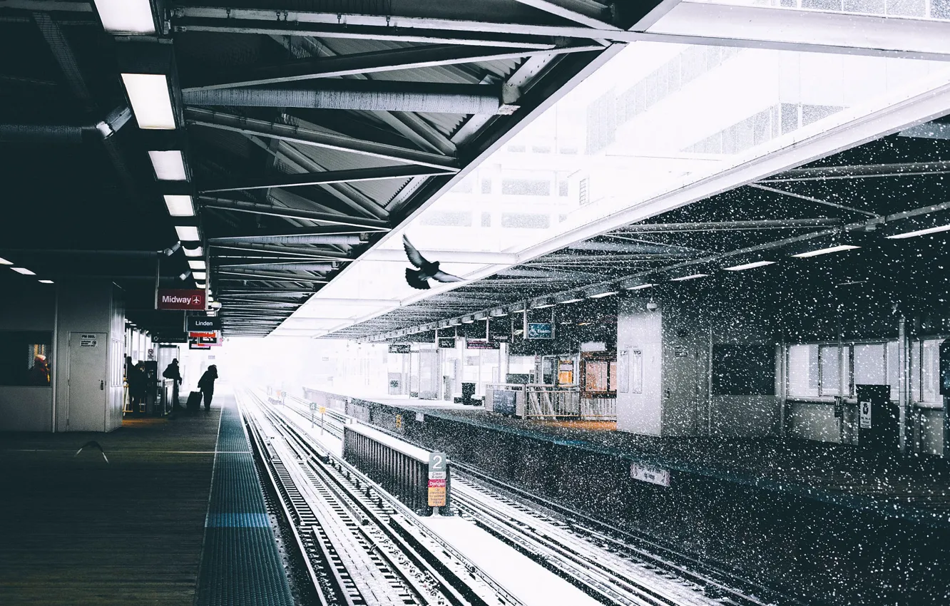 Фото обои снег, люди, голубь, станция, платформа, Ryan Millier