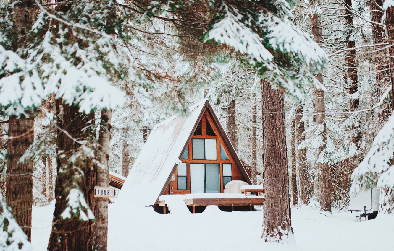 Фото обои Снег, Snow, Зимний Лес, Winter Forest, Wooden House, Деревянный Домик