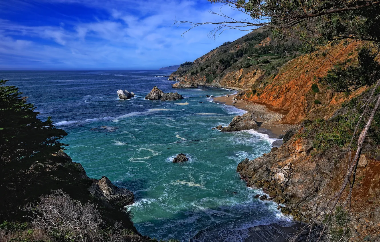 Фото обои море, небо, деревья, скалы, Калифорния, США
