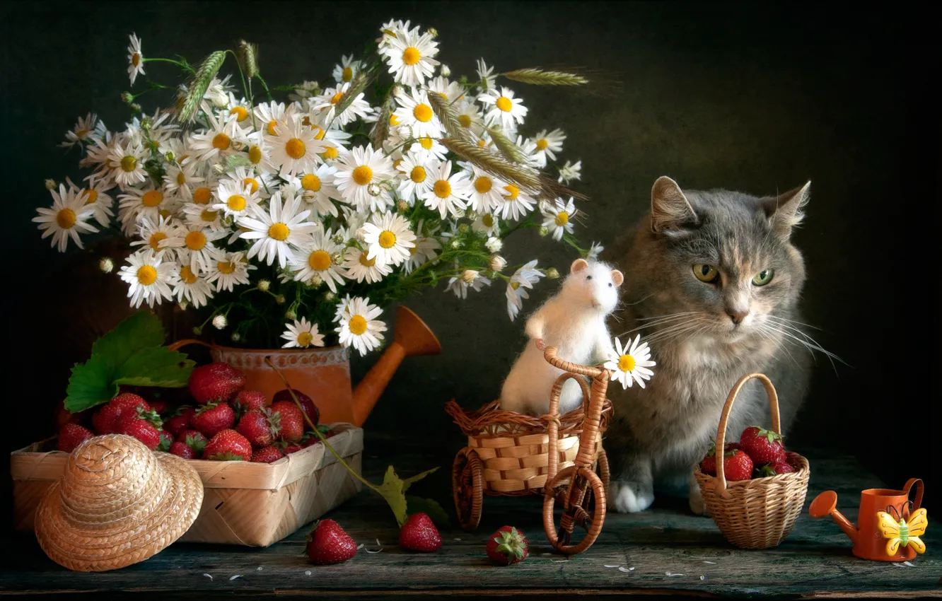Фото обои кошка, цветы, ягоды, игрушка, ромашки, мышка, клубника