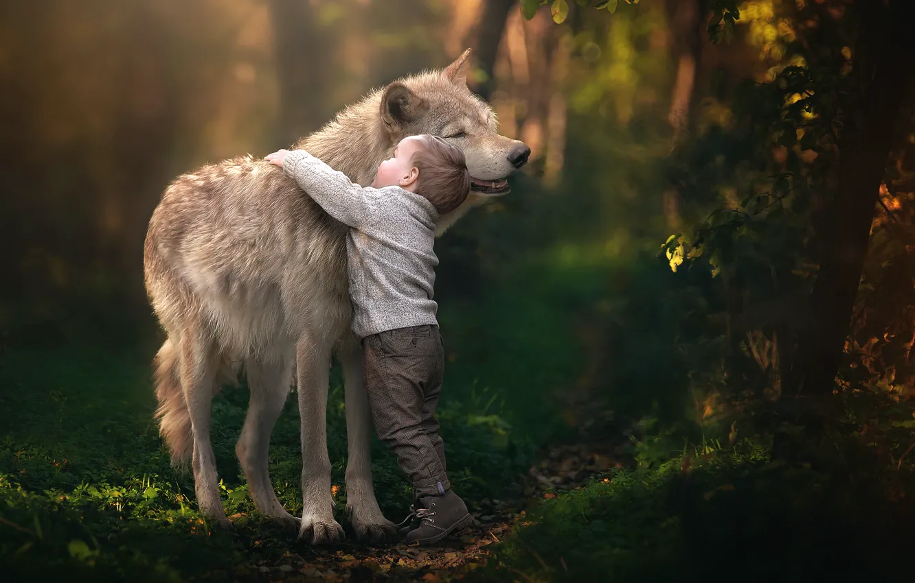 Фото обои волк, мальчик, дружба