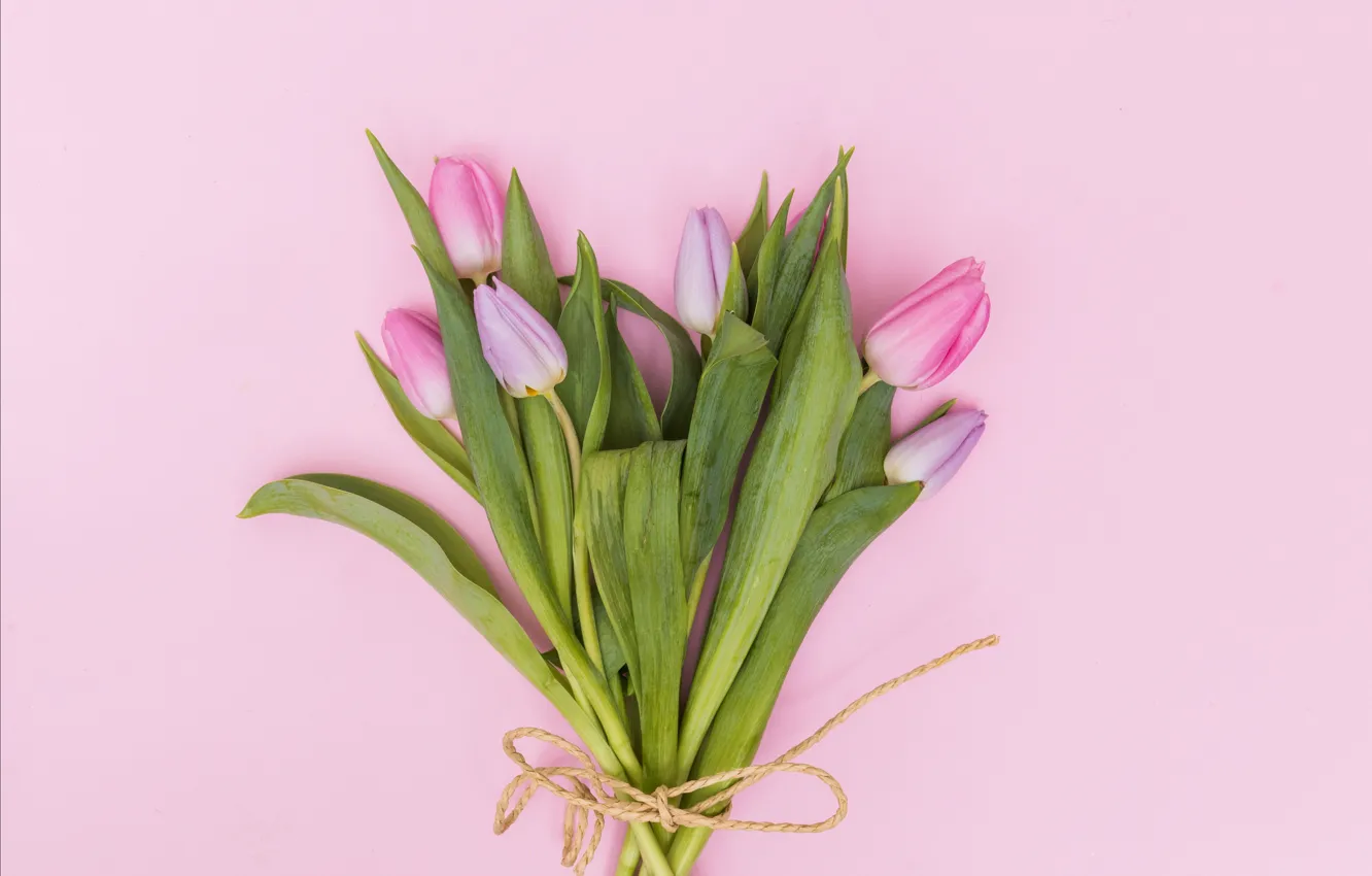 Фото обои цветы, букет, тюльпаны, розовые, fresh, wood, pink, flowers