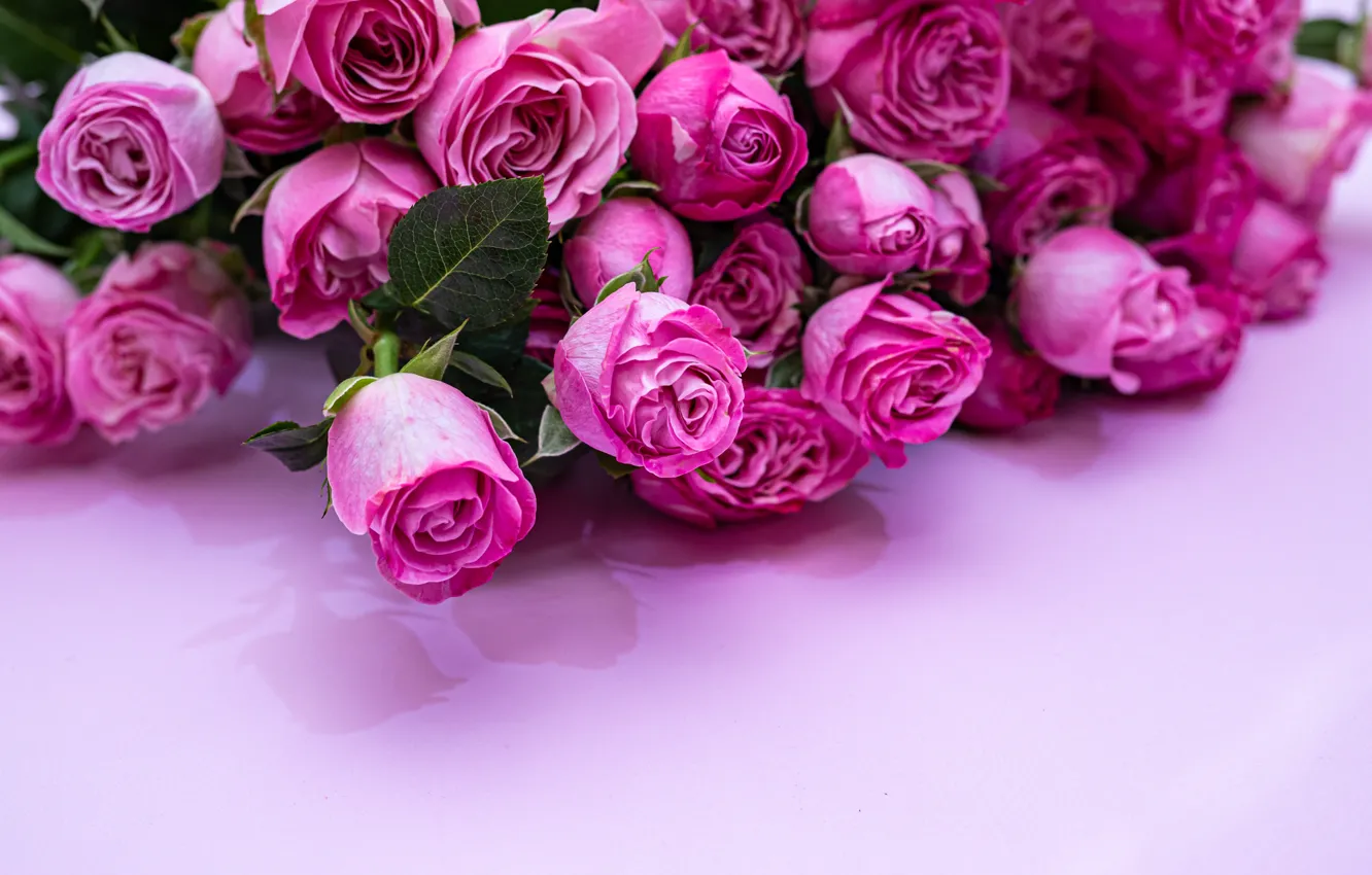 Фото обои фон, розовый, розы, букеи