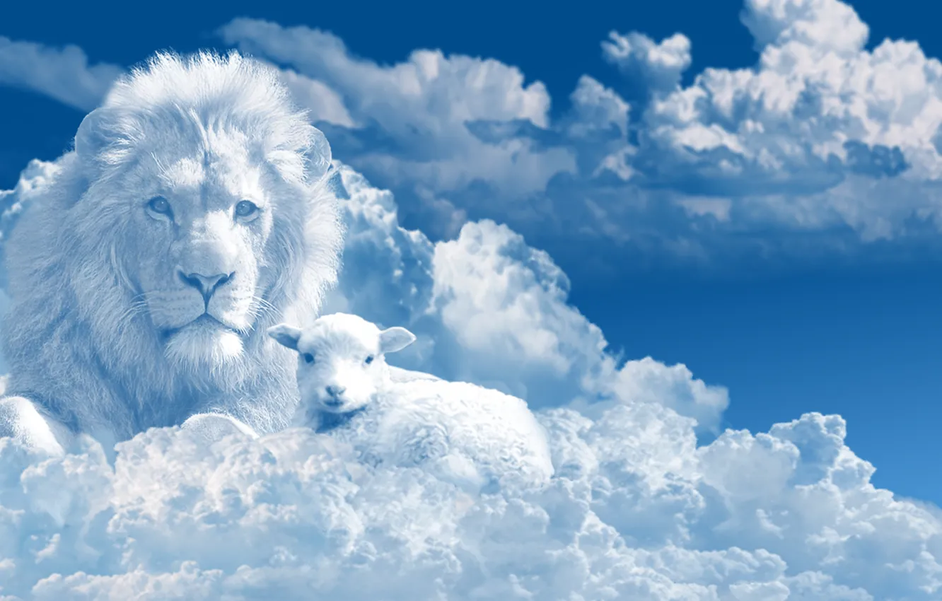 Фото обои wallpaper, Clouds, Sky, Lion, picture, Graphics, Lamb