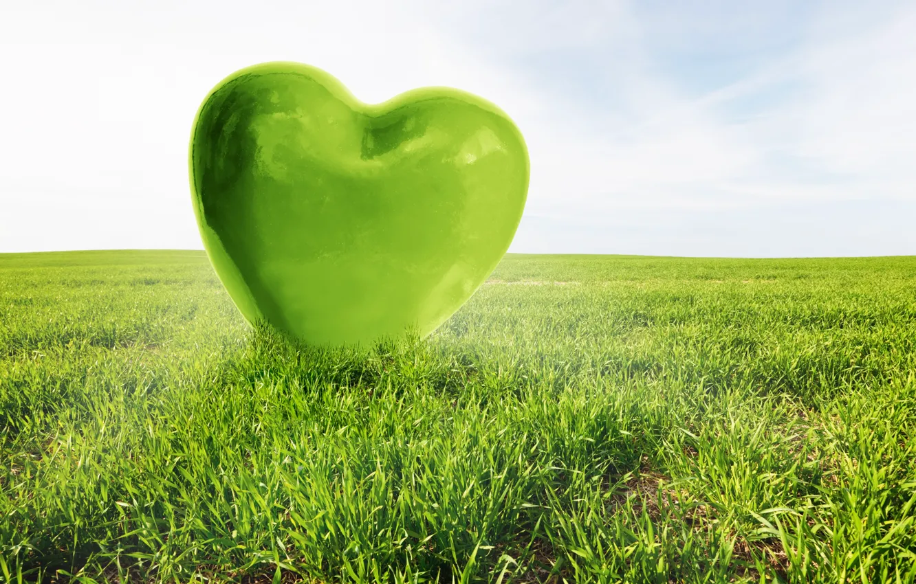 Фото обои любовь, green, сердце, love, field, heart