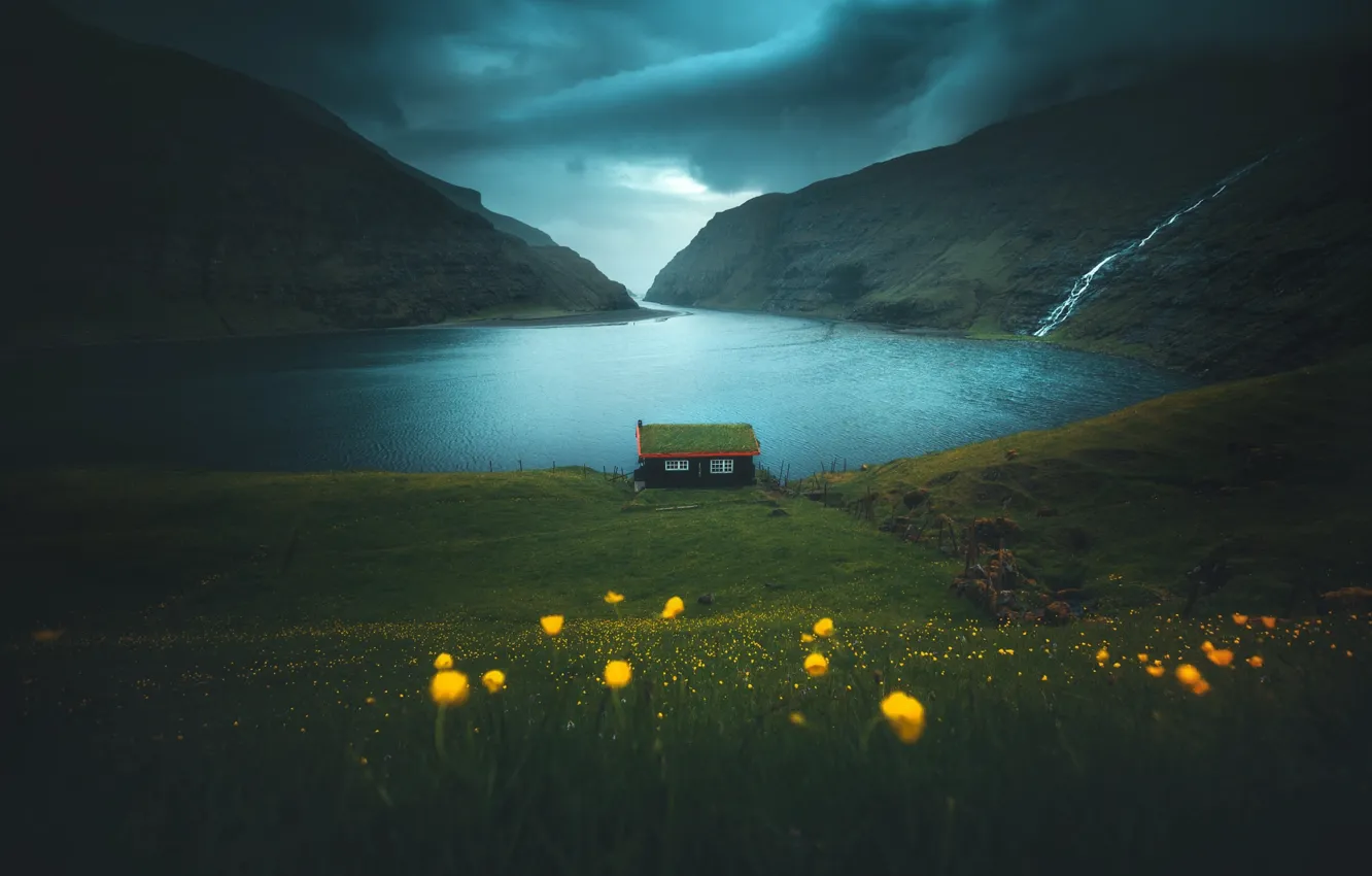 Фото обои трава, цветы, горы, домик, фьорд