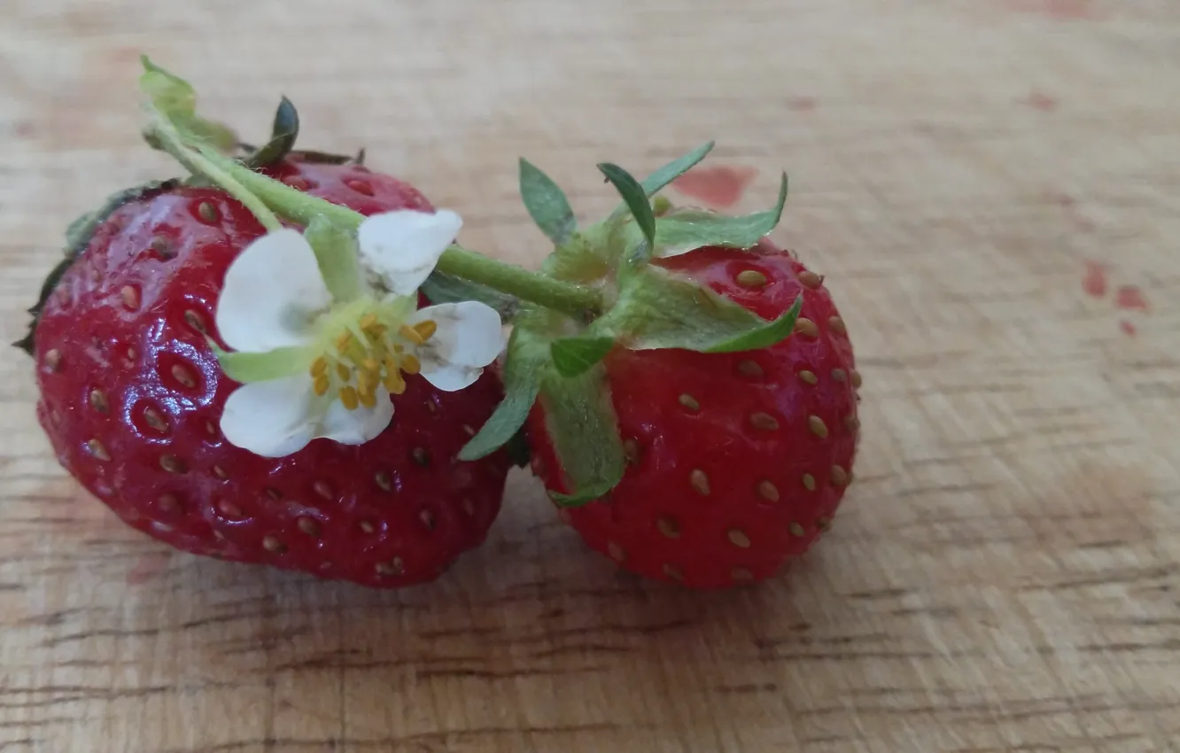 Фото обои Клубника, Ягоды, Strawberry