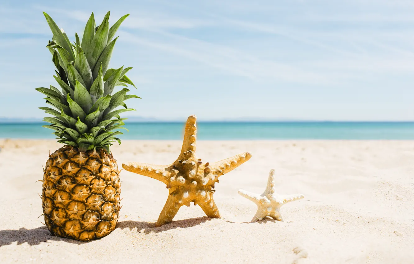 Фото обои песок, море, пляж, лето, отдых, звезда, summer, ананас