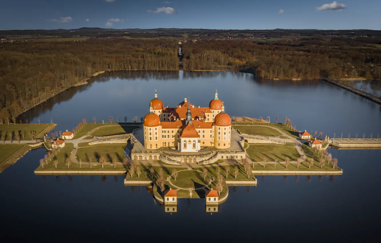 Фото обои лес, озеро, замок, остров, Германия, Germany, Саксония, Морицбург