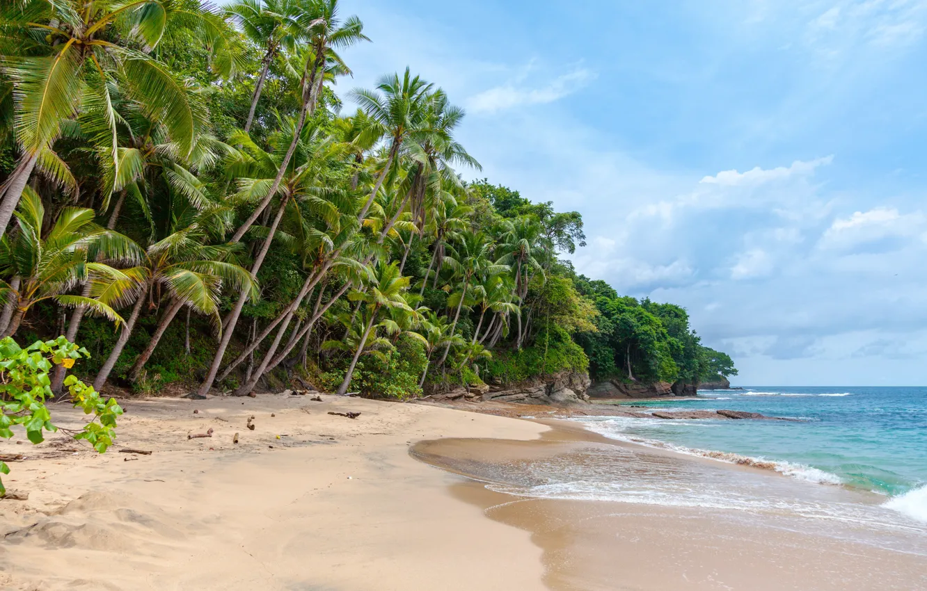 Фото обои песок, пляж, небо, облака, деревья, природа, пальмы, океан