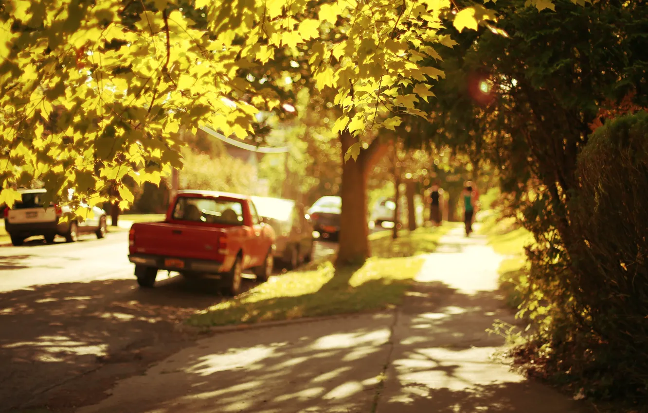 Фото обои машина, листья, солнце, деревья, машины, природа, город, фон