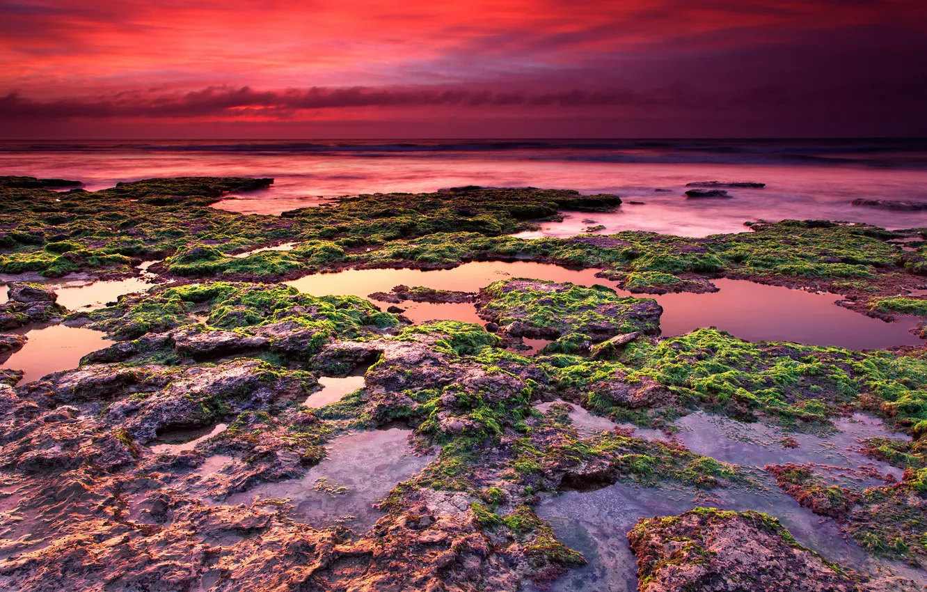 Фото обои море, небо, водоросли, камни, рассвет, аргентина, мирамар