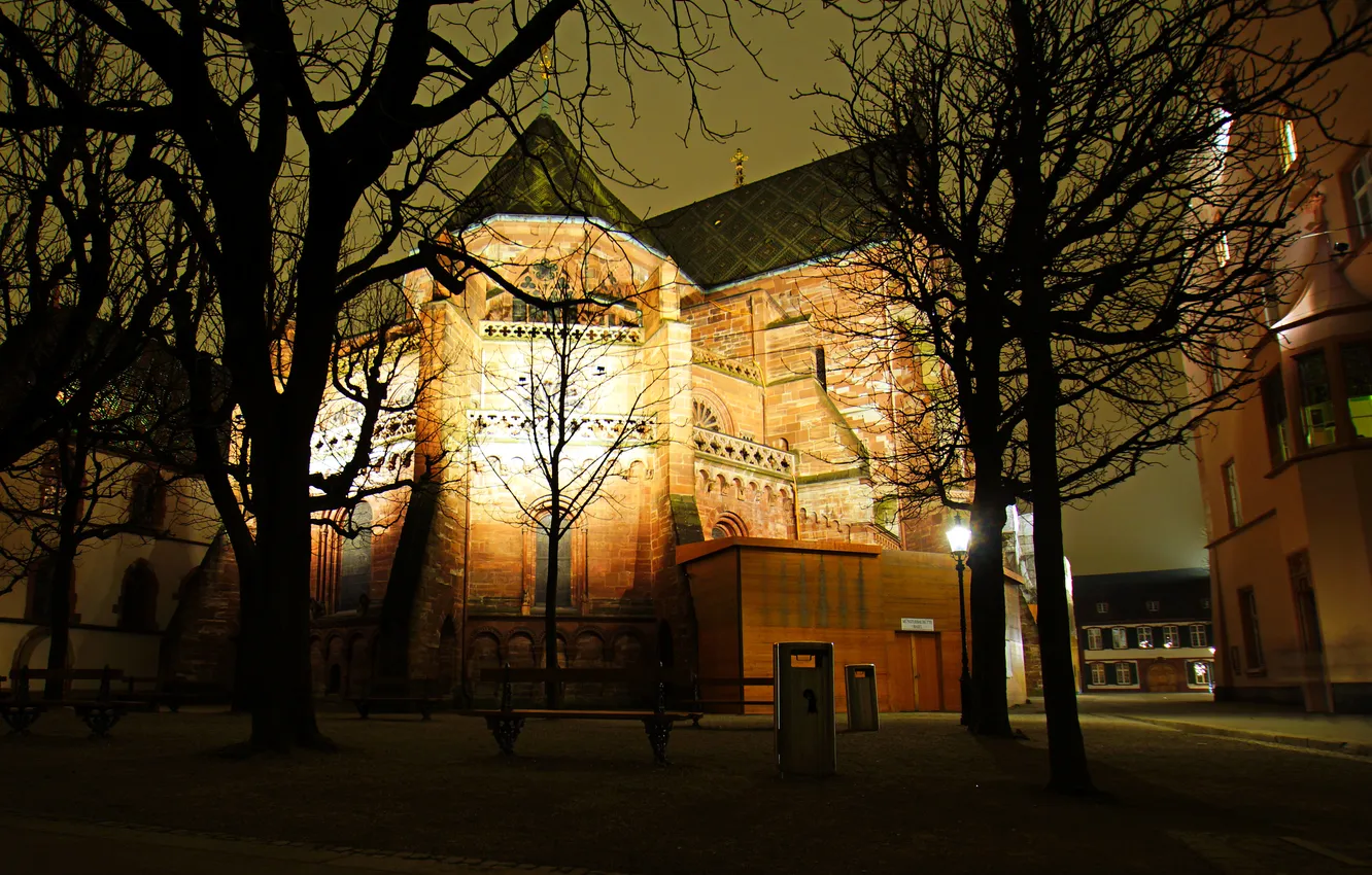 Фото обои деревья, ночь, огни, Швейцария, фонари, церковь, скамейки, Basel