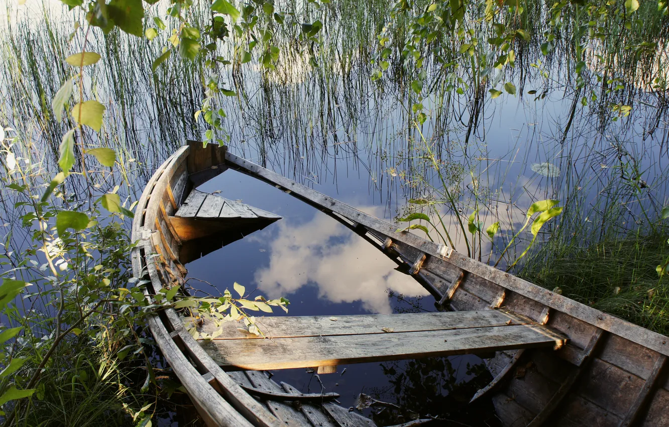 Фото обои трава, вода, ветки, озеро, пруд, дерево, лодка, остов