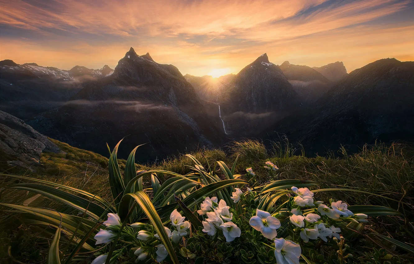 Фото обои лето, небо, трава, листья, солнце, облака, лучи, свет