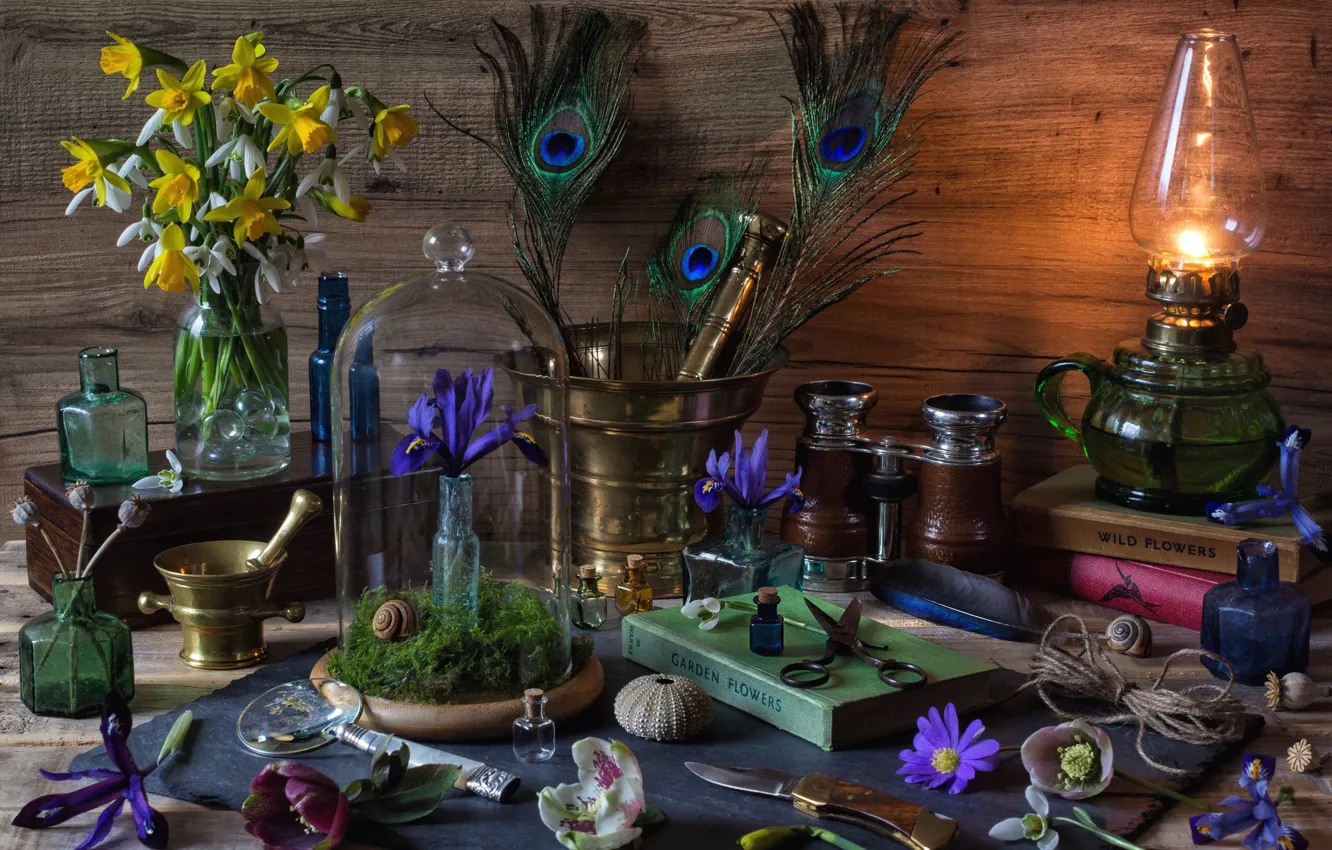 Фото обои цветы, лампа, перья, ракушка, книга, бутылки, натюрморт, нарцисс