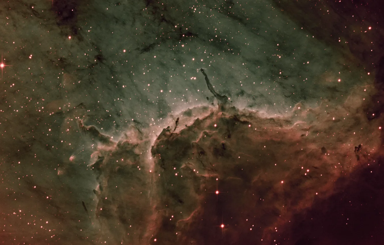 Фото обои в созвездии, Лебедя, Пеликан туманность, Pelican Nebula
