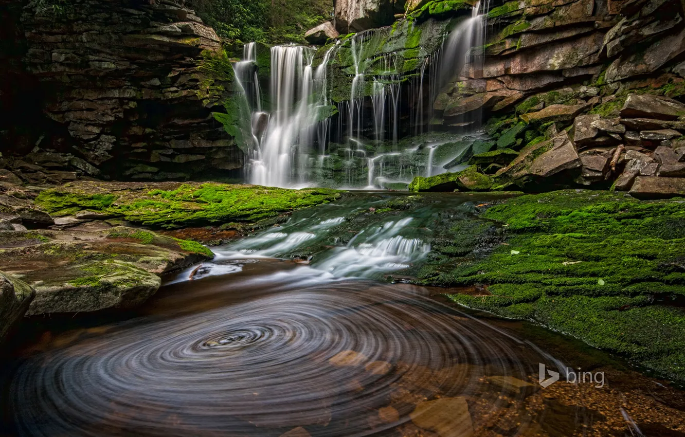 Фото обои вода, скала, поток, США, Западная Вирджиния, Blackwater Falls State Park, водопад Элакала