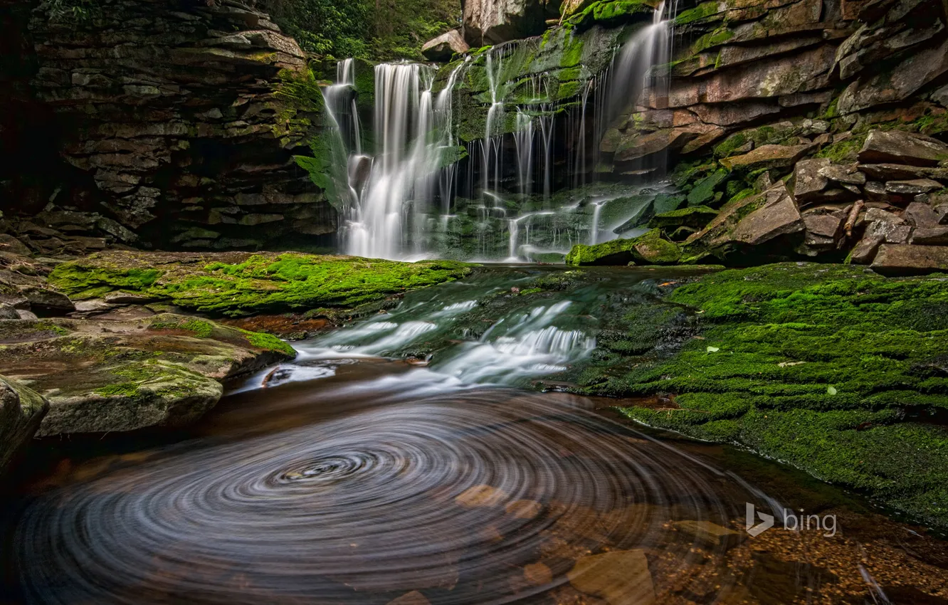 Фото обои вода, скалы, поток, США, Западная Вирджиния, Blackwater Falls State Park, Водопад Элакала