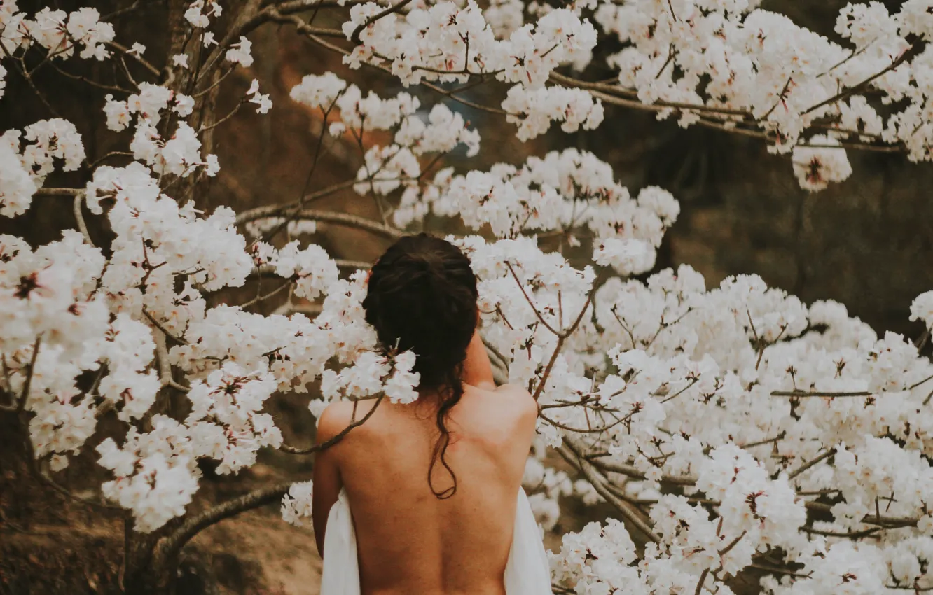 Фото обои девушка, весна, цветение