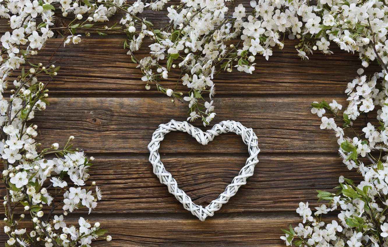 Фото обои цветы, сердце, весна, love, white, белые, heart, wood