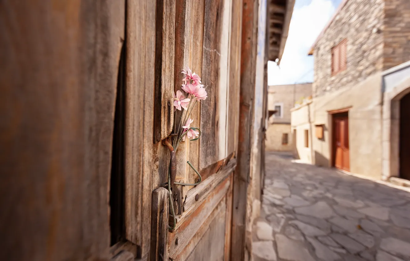 Фото обои цветы, улица, дверь