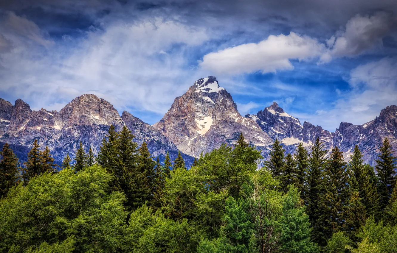 Фото обои деревья, горы, Вайоминг, Wyoming, Гранд-Титон, Grand Teton National Park