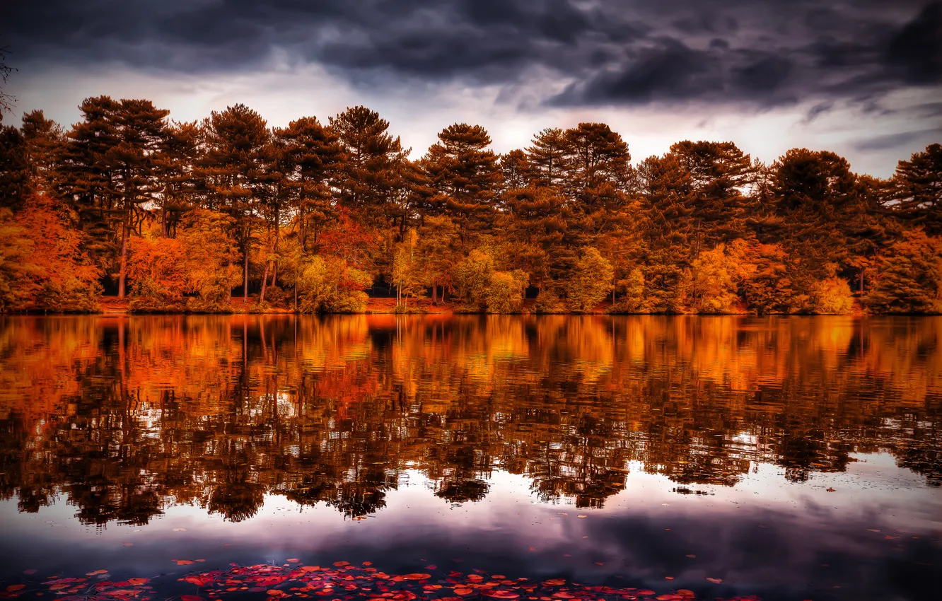 Фото обои осень, лес, небо, деревья, тучи, река