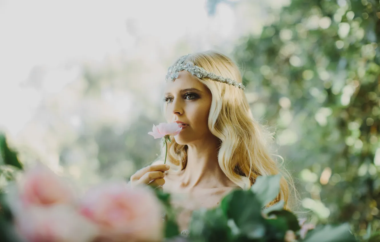 Фото обои девушка, цветы, сад, блондинка, боке