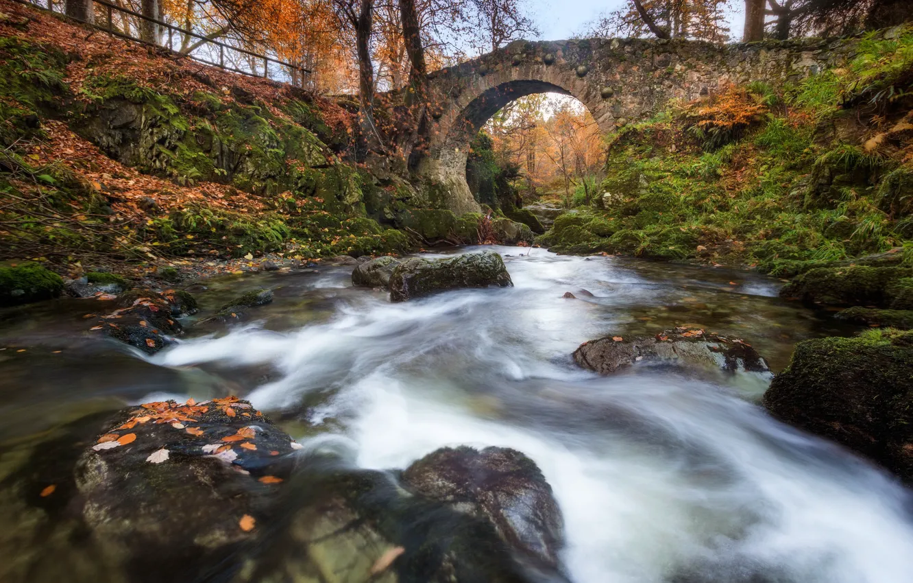 Фото обои осень, мост, река, Северная Ирландия, Northern Ireland, Река Шимна, Shimna River, Foley's Bridge
