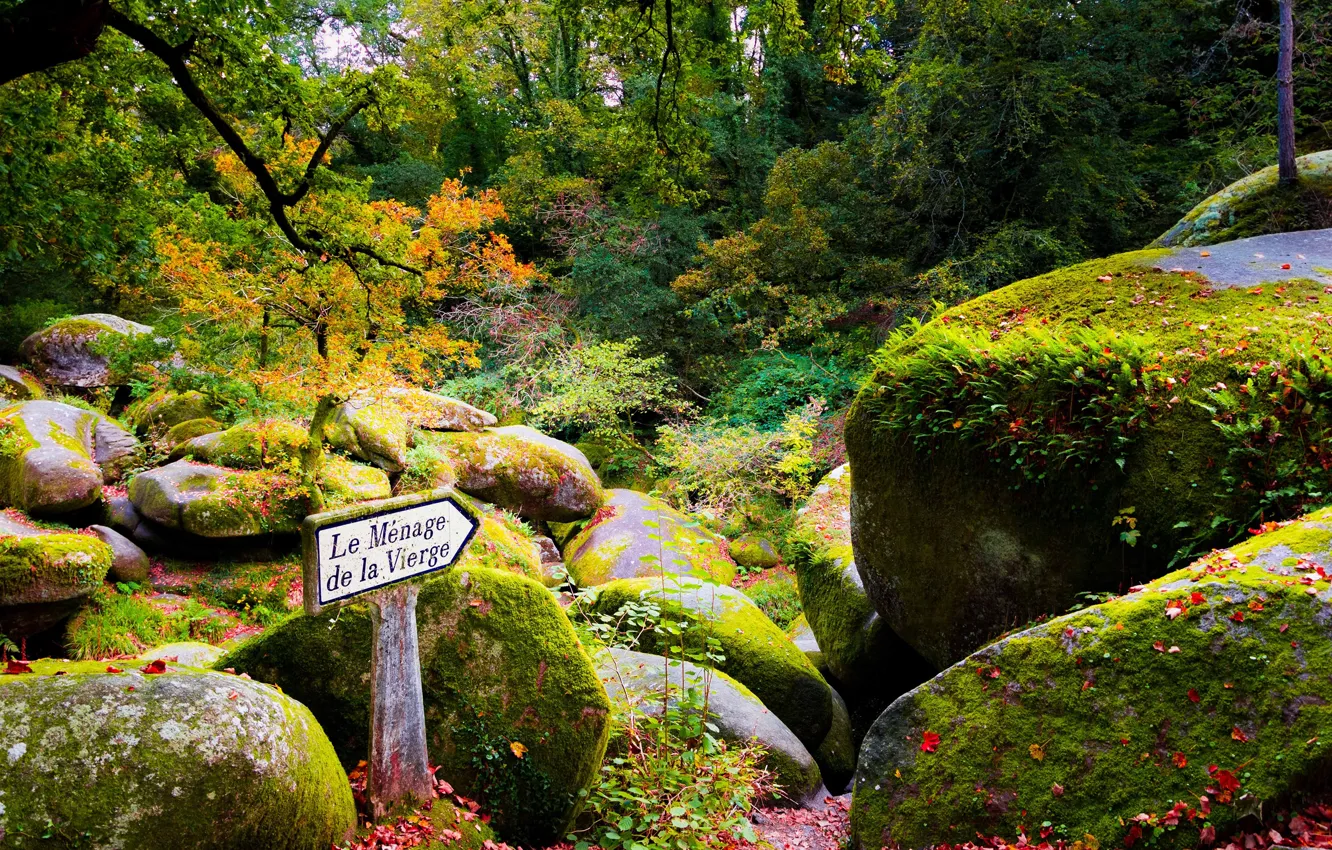 Фото обои осень, листья, деревья, парк, камни, Франция, мох, указатель
