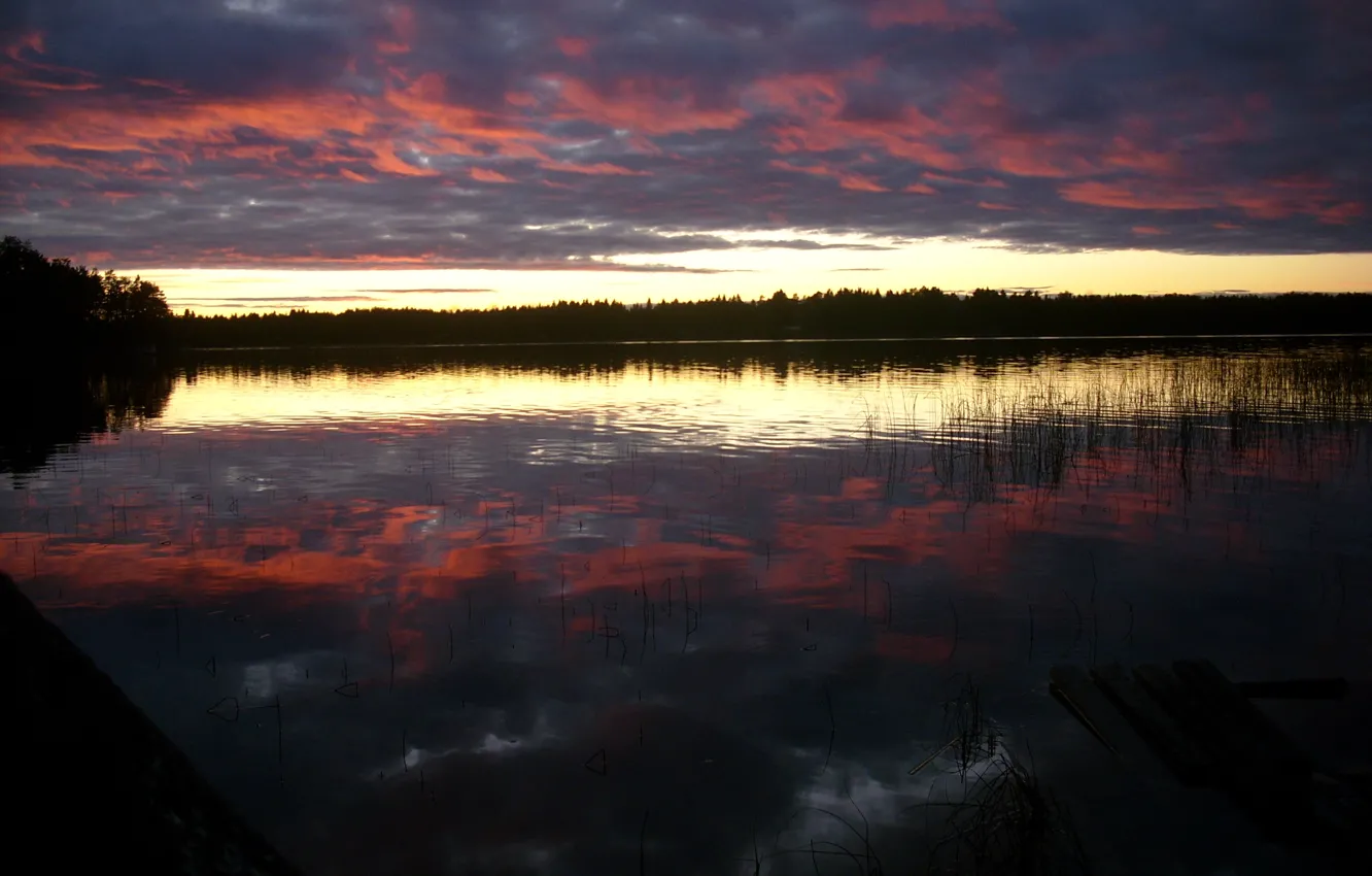 Фото обои Nature, Sky, Sweden, Lake, Umea