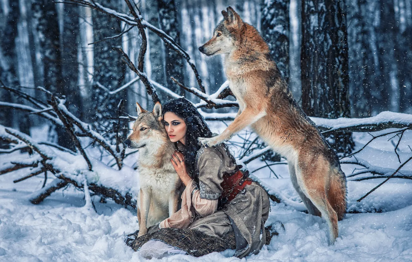Фото обои зима, лес, девушка, снег, поза, платье, брюнетка, волки