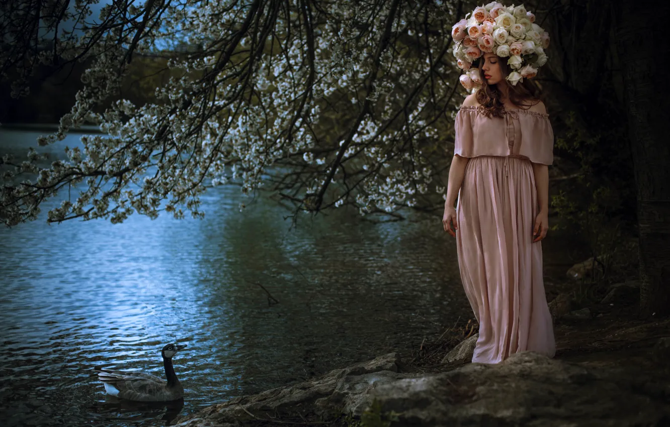 Фото обои девушка, цветы, природа, озеро, платье, утка