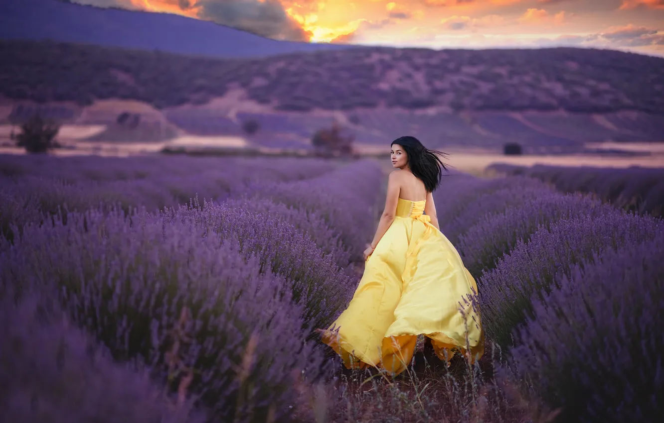 Фото обои поле, девушка, радость, платье, лаванда