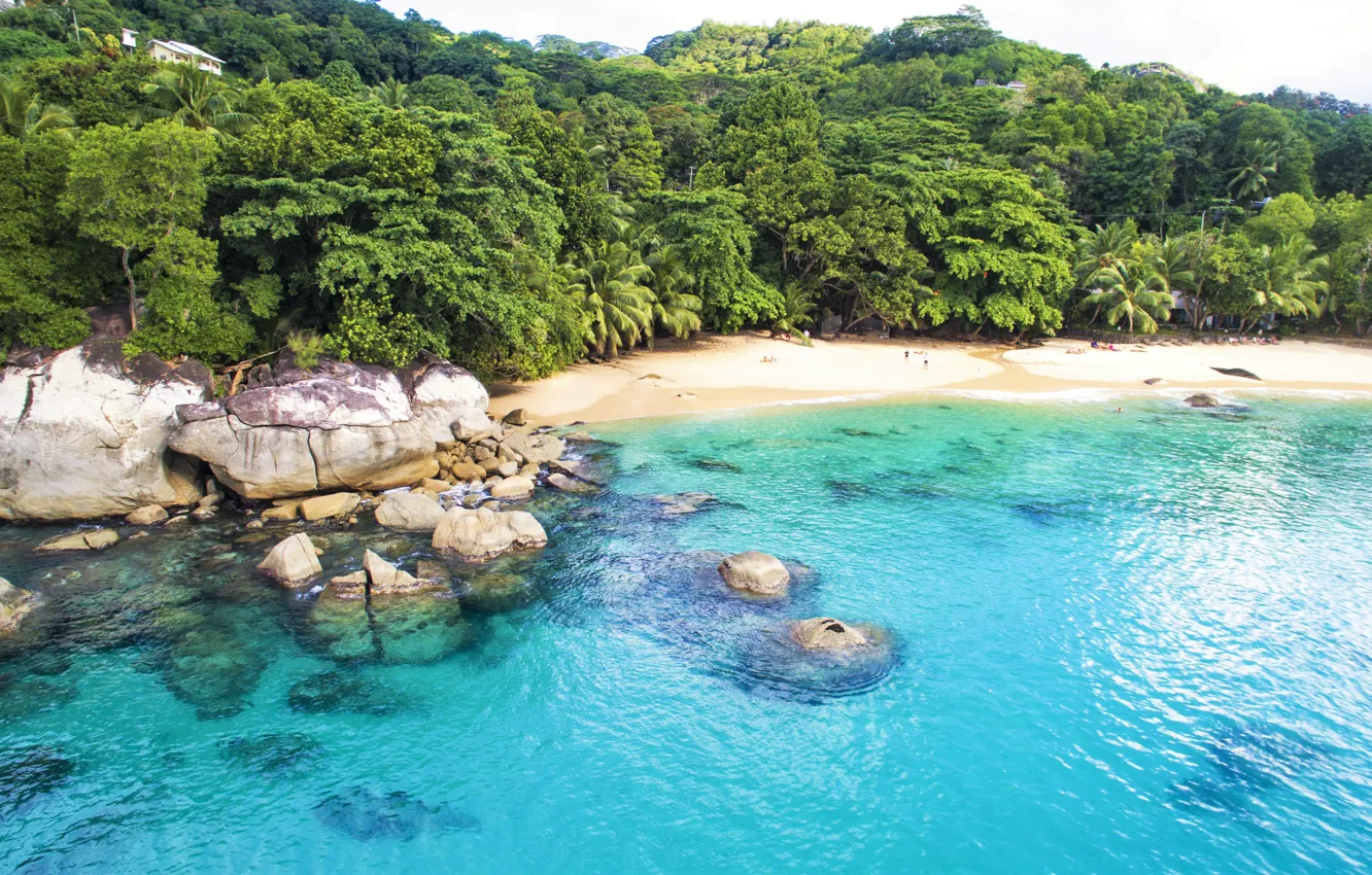 Фото обои пляж, камни, океан, берег, Seychelles