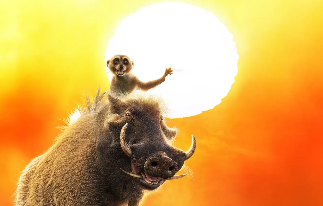 Фото обои lion king, pumbaa, timon, mufasa