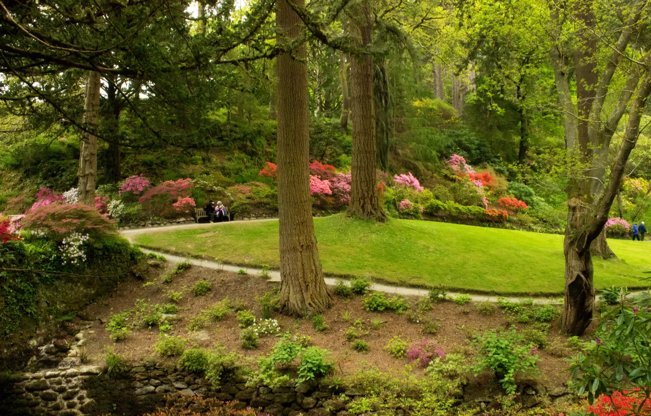 Фото обои зелень, трава, деревья, скамейка, парк, Великобритания, кусты, Bodnant Gardens Wales