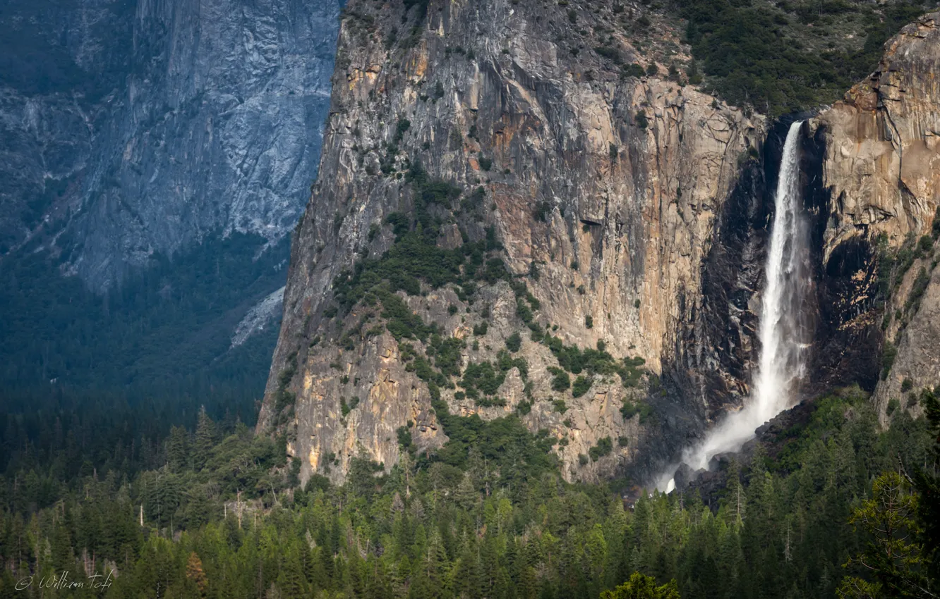 Фото обои лес, горы, сша, Yosemite, Национальный парк Йосемити, Bridalveil Falls