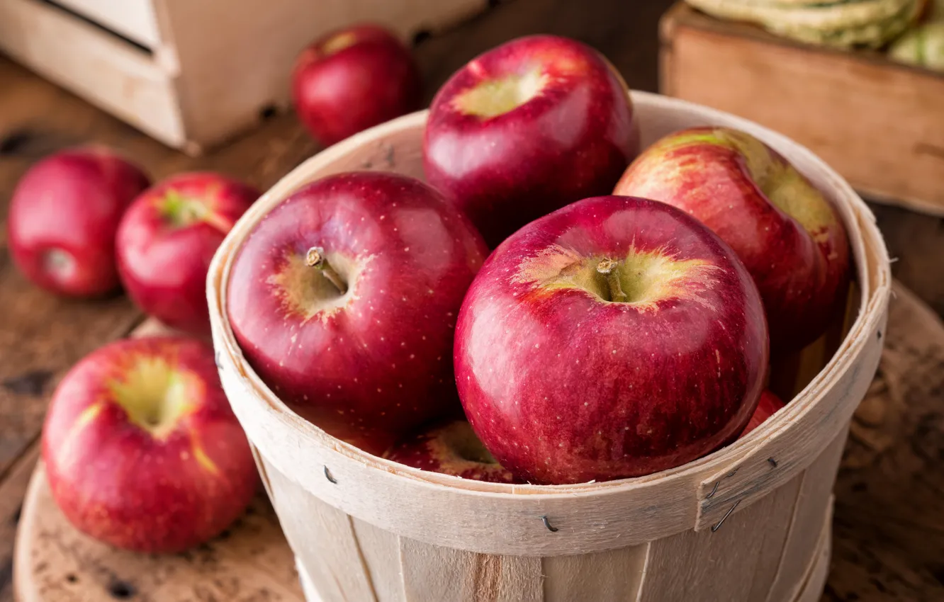 Фото обои корзина, яблоки, урожай, красные