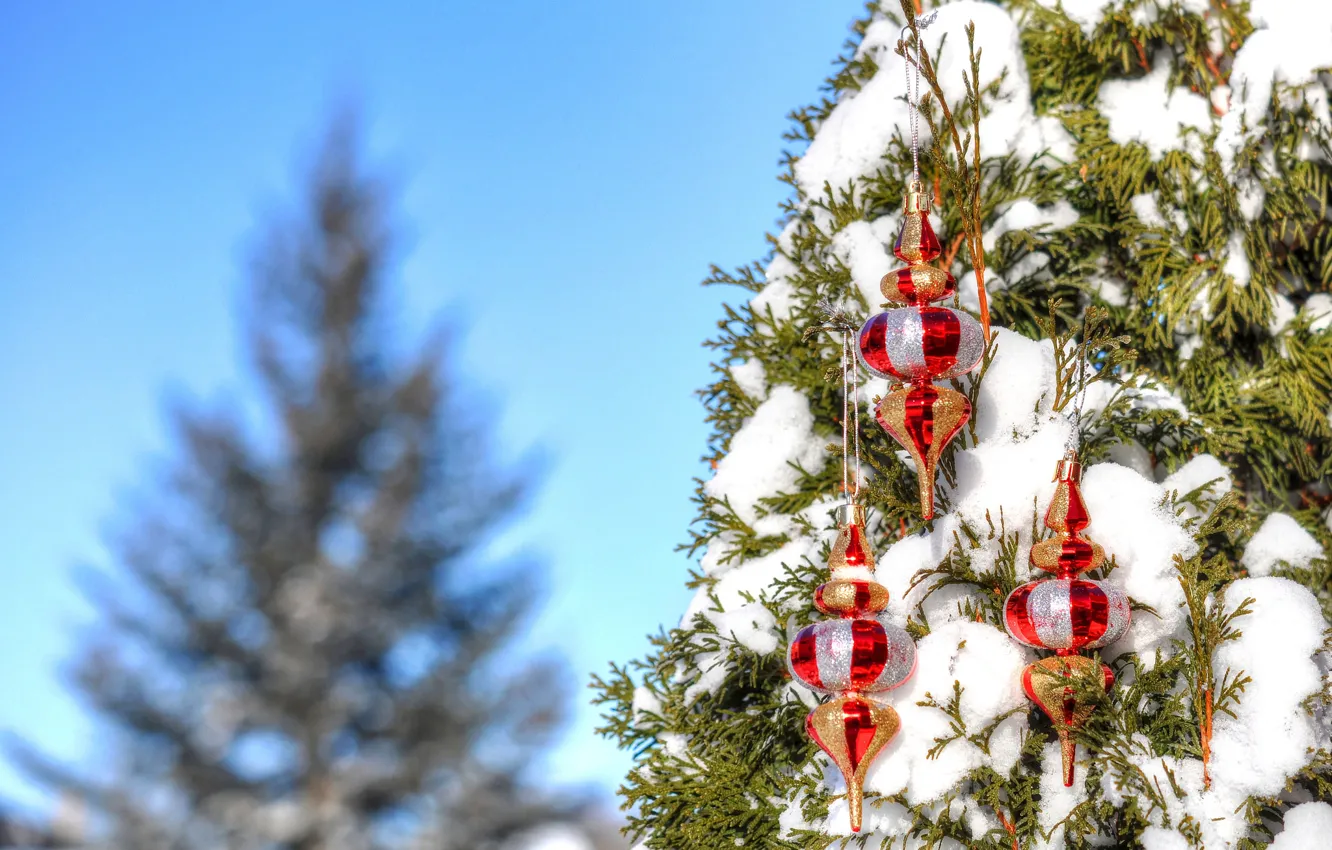 Фото обои зима, небо, снег, дерево, игрушки, новый год, рождество, украшение