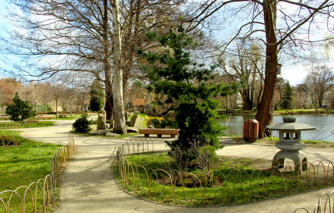 Фото обои trees, park, alley