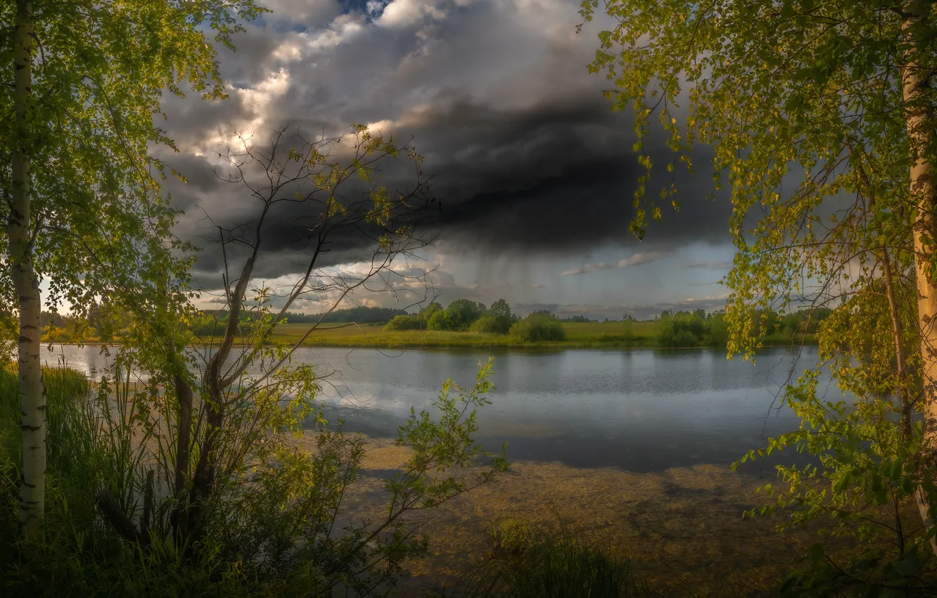 Фото обои гроза, лето, деревья, пейзаж, тучи, природа, река, берёзы